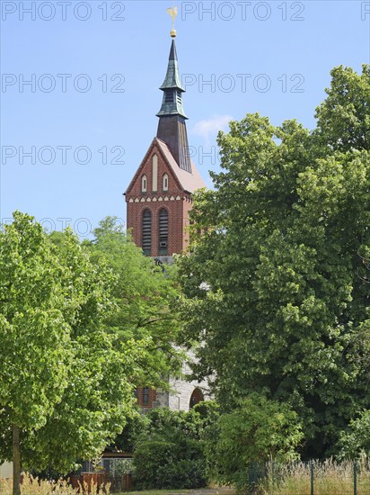 Marquardt village church in summer. Havelland, Brandenburg, Germany, Europe
