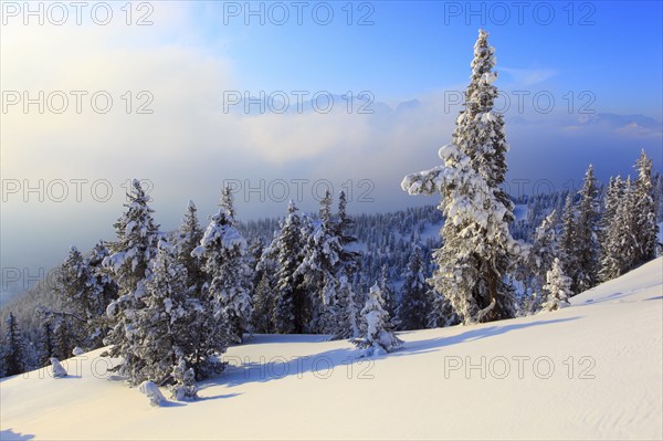 Bernese Alps, View from the Niederhorn, Bernese Oberland, Switzerland, Europe
