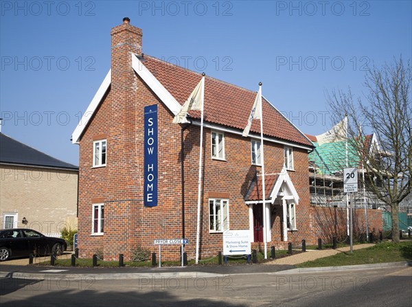 Show home of new housing development by Hopkins and Moore at Snape, Suffolk, England, United