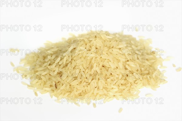 Rice (Oryza sativa), rice grains