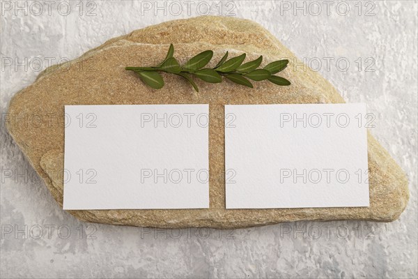 White paper business card, mockup with natural stone and boxwood branch on gray concrete background