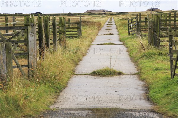 Orford Ness lighthouse Open Day, September 2017, Suffolk, England, UK, old military road crossing