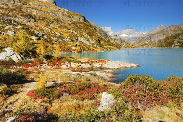 Autumn colours at Lac d'Emosson in the Valais mountains, Switzerland, Europe