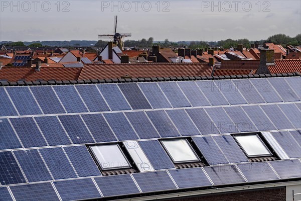Solar modules on roofs, on the roof of a building on the dyke, North Sea coast, in Zeeland,