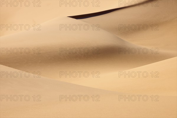 Soft, undulating sand dunes with gentle, natural colours in a desert landscape, Matruh, Great Sand