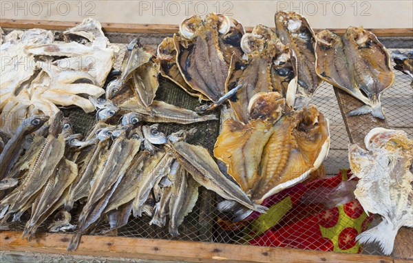 A net of dried fish of different species at the beach market, fish drying, Praia da Nazare beach,