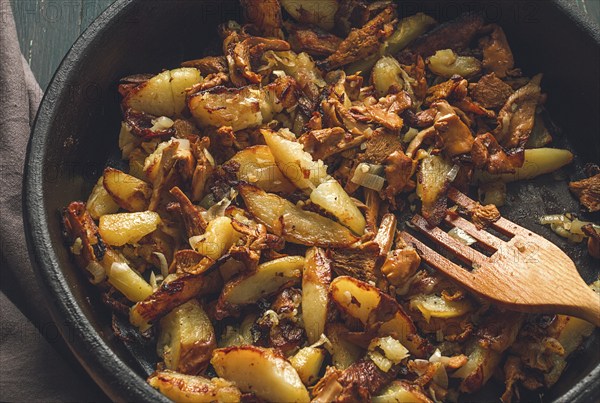 Fried chanterelles with mushrooms, in a clay pan, close-up, top view, selective focus