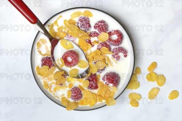Raspberries and cornflakes with milk in a bowl, Rubus idaeus