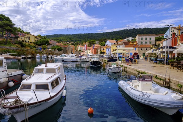 Rovenska harbour, Veli Losinj, near Mali Losinj, island of Losinj, Kvarner Gulf Bay, Croatia,