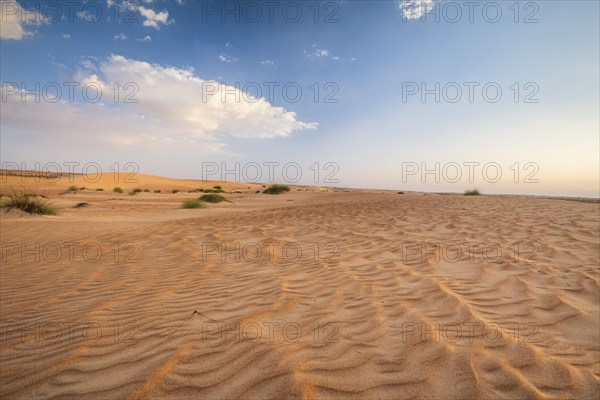 Sand dunes, Wahiba Sands desert, Sharqiya sand, Oman, Asia