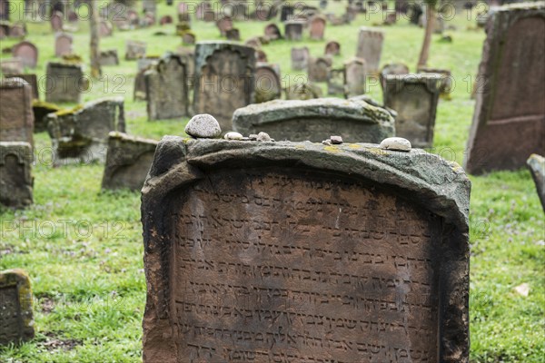 Jewish cemetery Heiliger Sand, Worms, Rhineland-Palatinate, Germany, Europe
