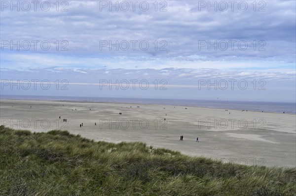 People on the beach, De Cocksdorp, Texel, West Frisian Island, Province of North Holland,
