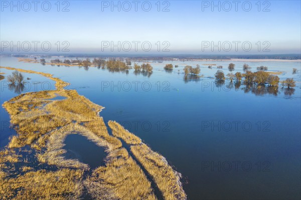 Aerial view, drone photo: Flood, flooded meadows in the floodplains along the river Oder, Groß