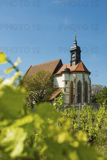 Pilgrimage church Maria im Weingarten, Volkach, Mainfranken, Lower Franconia, Franconia, Bavaria,