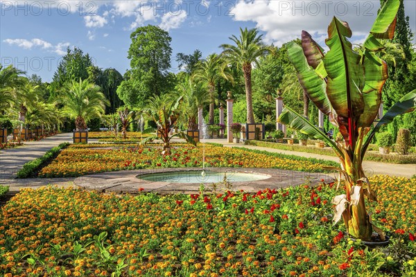Palm garden in the spa gardens, the largest outdoor palm garden north of the Alps, spa town of Bad
