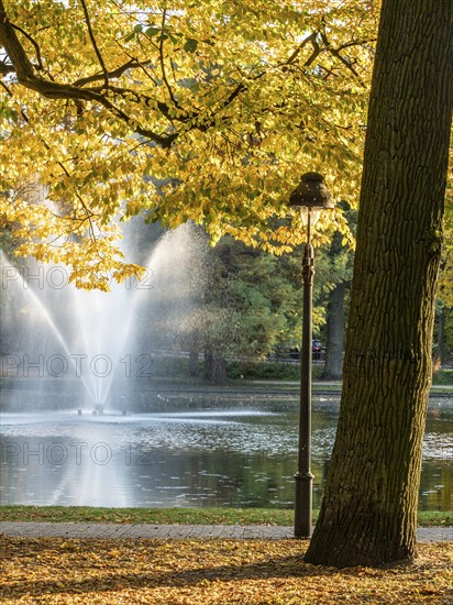 Autumn foliage, colourful trees, fountain in the pond, park Französischer Garten (French Garden),