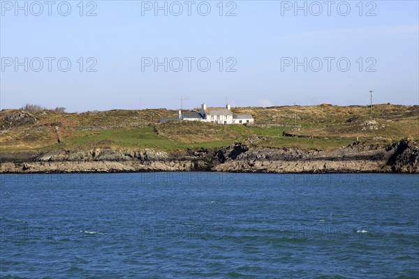 Farmhouse croft on Ringarogy Island, Roaringwater Bay, County Cork, Ireland, Irish Republic, Europe