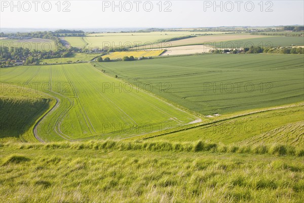 Summer view of arable fields and chalk landscape from Cherhill Down escarpment, Wiltshire, England,
