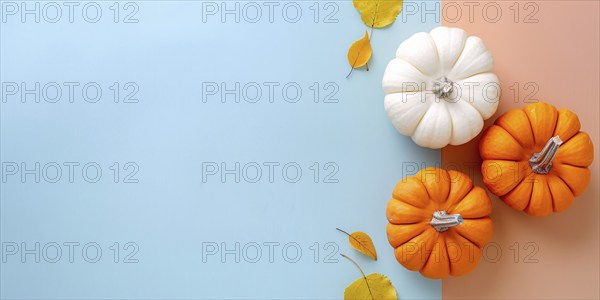Banner with orange and white pumpkins on pastel blue background with copy space. Generative Ai, AI