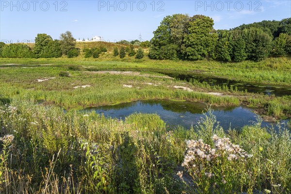 Emscherland, a new nature and water adventure park on the renaturalised Emscher, at the water