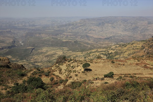 Landscape in the Choke Mountains, view into the valley, Ethiopia, Africa