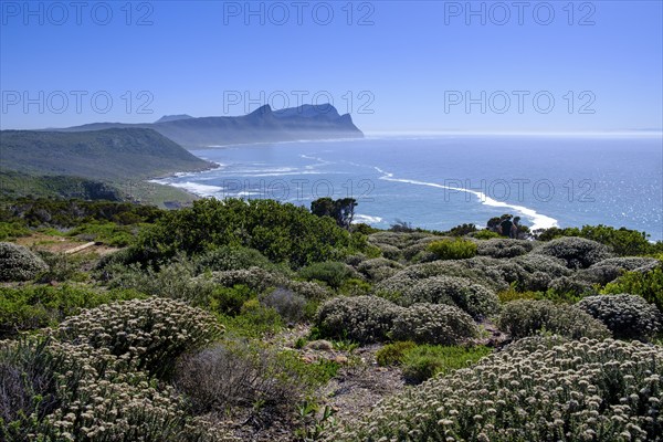 Cape Point Nature Reserve, Cape Point, Cape of Good Hope, Cape Peninsula, Western Cape, South
