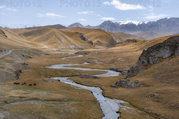 River Kol Suu winds through a mountain valley with hills of yellow grass, Naryn Province,