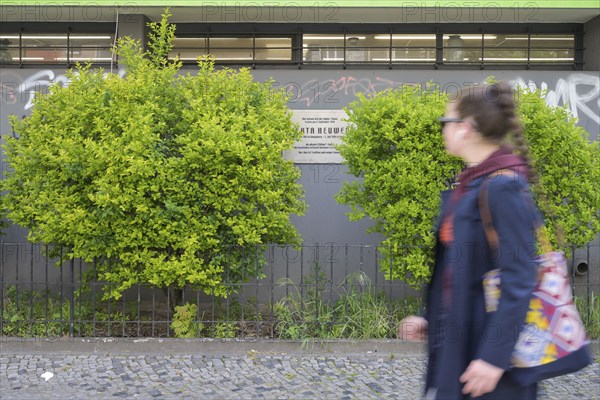 Memorial plaque for Herta Heuwer, inventor of the currywurst, Kaiser-Friedrich-Straße,