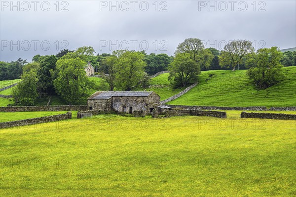 Farms in Yorkshire Dales National Park, North Yorkshire, England, United Kingdom, Europe