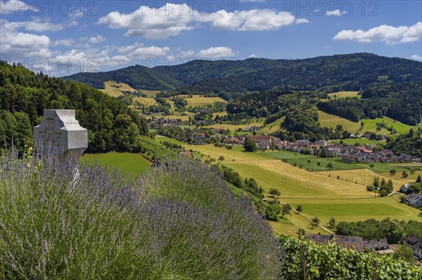 Landscape, Glottertal, Village, Black Forest, Germany, Europe