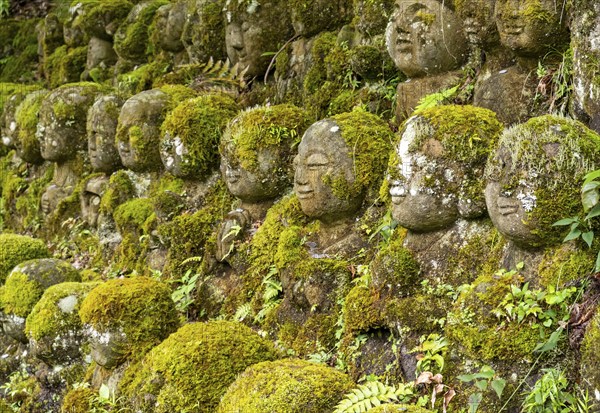 Moss-covered stone statues of rakans, the disciples of Buddha, Otagi Nenbutsu-ji temple, Kyoto,