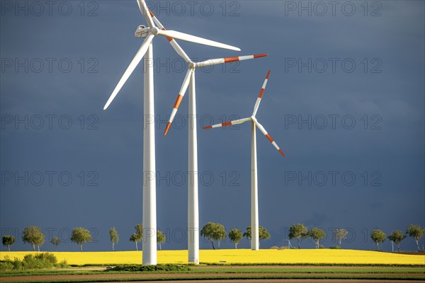 Wind turbines on a rape field, dark rain clouds, in the Rhenish lignite mining area, near
