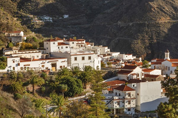 Tejeda, Gran Canaria, Canary Islands, Spain, Tejeda, Gran Canaria, Canary Islands, Spain, Europe