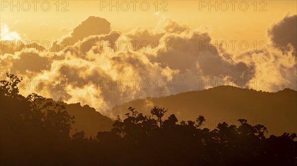 Evening mood, clouds over cloud forest, mountain rainforest, Parque Nacional Los Quetzales, Costa