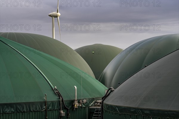Biogas plant, the gas is produced from various biomass, including waste from the food industry, the