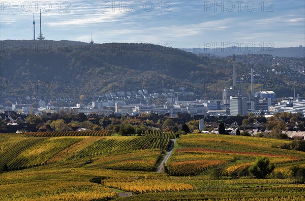 View of Daimler corporate headquarters, Mercedes-Benz plant Untertürkheim, television tower, radio