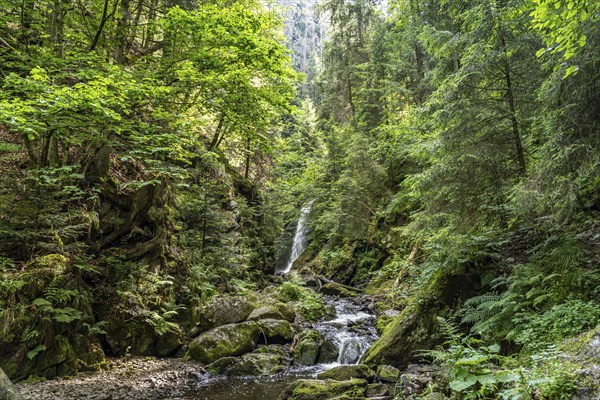 Waterfall Großer Ravennafall in the Ravenna Gorge near Breitnau, Black Forest, Baden-Württemberg,