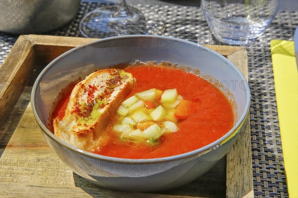 Gazpacho, Spanish vegetable soup, with red pepper, cucumber, toasted white bread, soup bowl, Hotel