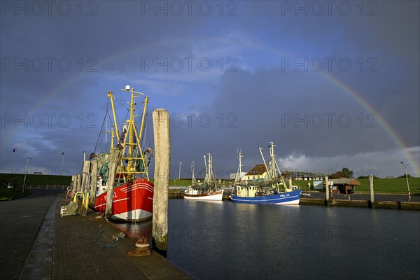 Fishing boats in the harbour of Tammensiel, rainbow, Pellworm Island, Schleswig-Holstein Wadden Sea