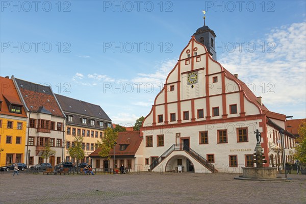 Historic town hall with clock tower on a cobbled square under a blue sky in an old town, town hall,