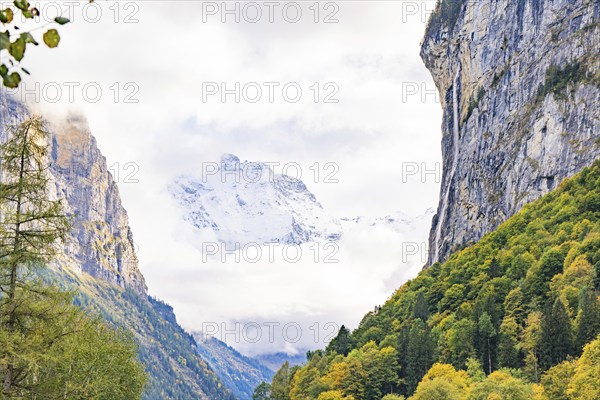 Snow-capped mountains rise in a tree-lined valley, clouds pass by, Lauterbrunnen, Switzerland,