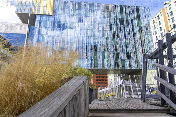 Green spaces around buildings, here at Hogeschool Inholland Rotterdam, plant beds at passageways,