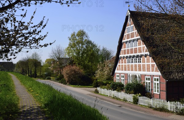 Europe, Germany, Lower Saxony, Altes Land near Hamburg, Steinkirchen an der Lühe, old half-timbered