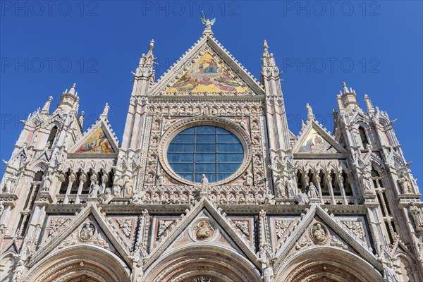 Cathedral, old town, architecture, landmark, travel, tourism, blue sky, Siena, Tuscany, Italy,