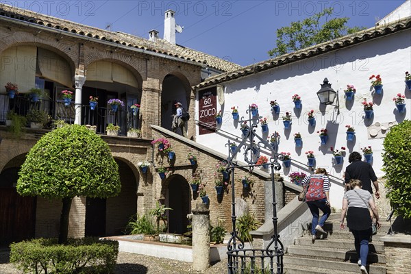 Courtyard, Jewish quarter, Juderia, tourists in the historic centre of Cordoba, Córdoba, Andalusia,