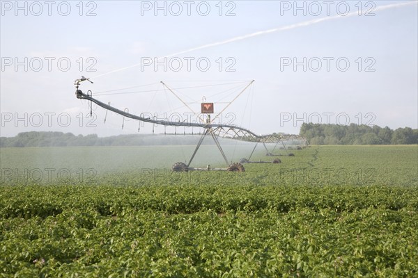 Large field irrigator machine spraying a crop of potatoes, Hollesley, Suffolk, England, United