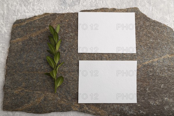White paper business card, mockup with natural stone and boxwood branch on gray concrete background