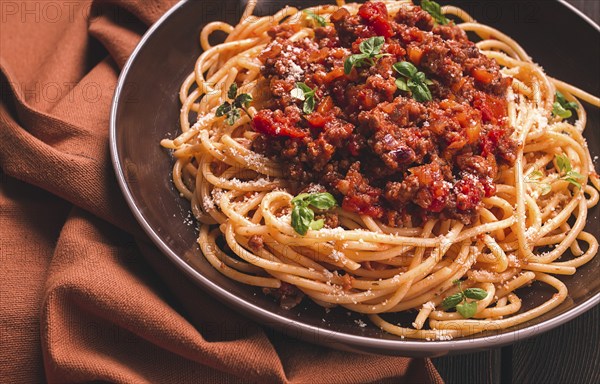 Spaghetti Bolognese, top view, close-up, no people, homemade