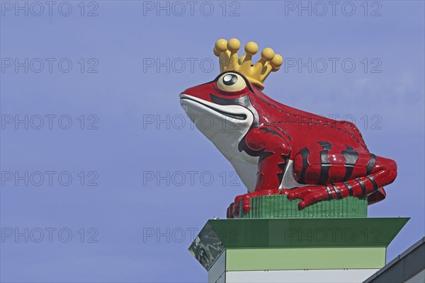Landmark and emblem of the company Werner & Mertz Erdal, sculpture, frog figure with golden crown,