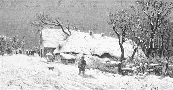 Winter landscape near Meldorf, frost, farmhouse, hedge, trees, person, dog, wooden fence,